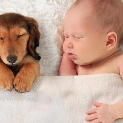 Bebé y mascotas en casa