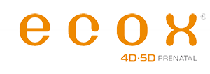 2018 - 2019